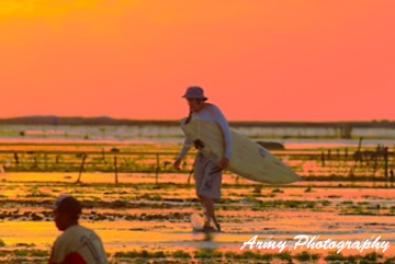 Surf Lessons Nemberala Rote Indonesia